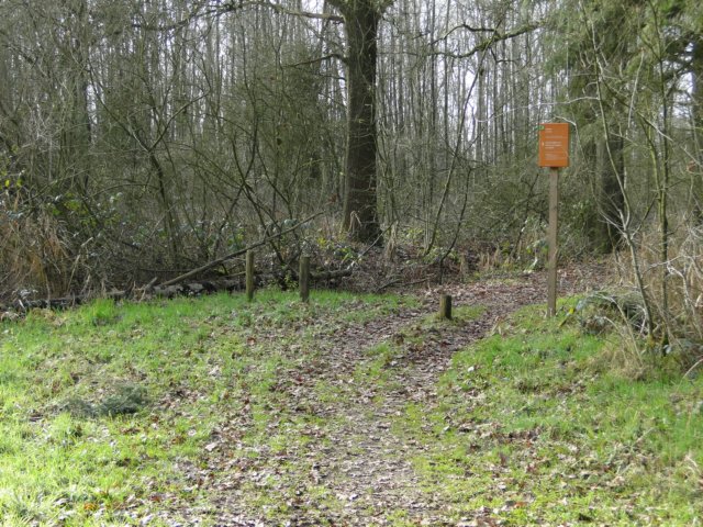 NWK 2012 022.jpg
